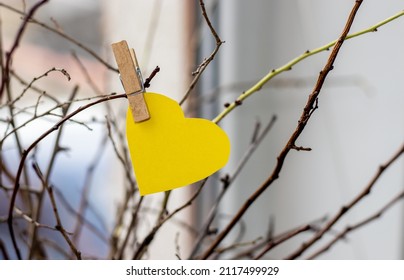 Green Or Yellow Paper Heart Attached By Tree Branches From A Vase, In The House. Heart Attached With Wooden Clothes Pin. Home Decoration. Dry Branches. Blue Background Or Near The Window. Love, 