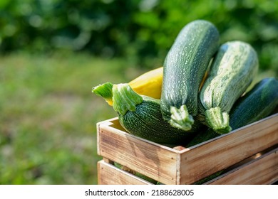 Green and yellow zucchini harvest in wooden box at green garden background. Copyspace - Shutterstock ID 2188628005