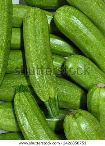 Green zucchini as background image. Background image of fresh green zucchini close up.