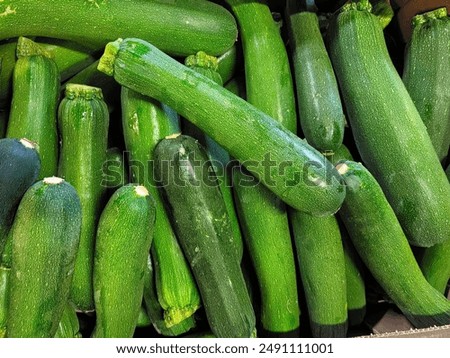 Green zucchini squash as background image.  Stock photo fresh organic zucchini market background. Realistic background of fresh zucchini arranged together on whole image.