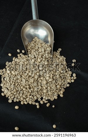 Greenbeans East Java Arabica coffee ready for roasting