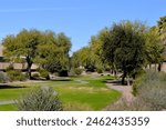 a greenbelt walking and bike riding path running thru a neighborhood subdivision in Arizona