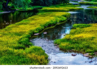 Greenbrier River In Pocahontas County, West Virginia, USA