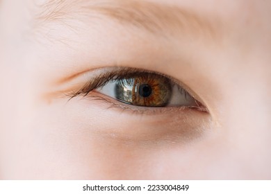 Green-brown eye of a boy close-up. - Powered by Shutterstock