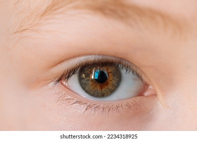 Green-brown eye of a boy close-up. - Powered by Shutterstock