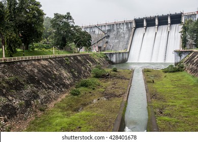 Greeneries Inside Neyyar Dam