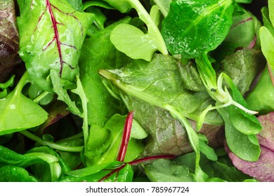 Greenery leaves close up macro shot - Shutterstock ID 785967724