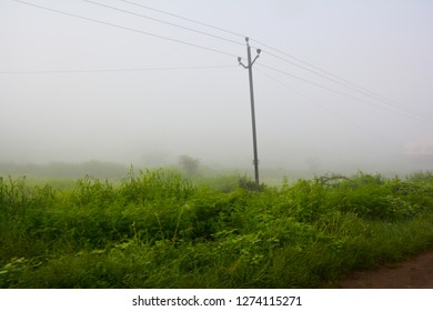 Greenery Morning Sky Stock Photo 1274115271 | Shutterstock