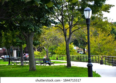 Greenery In A Park On An Overcast Afternoon In The Spring 