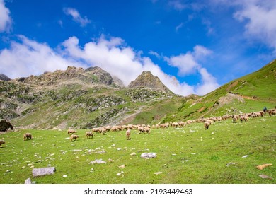 The Greenery And Solitude Of Kashmir Valley, India. 