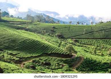 Greenery That Depicts Beauty Kerala Stock Photo 1809321295 | Shutterstock