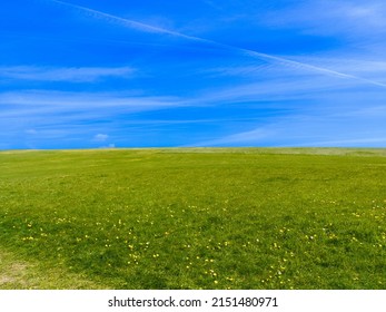 Greenfield with yellow flowers on beautiful clear sunny day with a blue sky - Shutterstock ID 2151480971