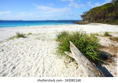 Greenfields Beach Jervis Bay is a rustic natural and unspoilt beach in Jervis Bay, Australia.   It is located along the White Sands Walk, a superb and breathtaking track.