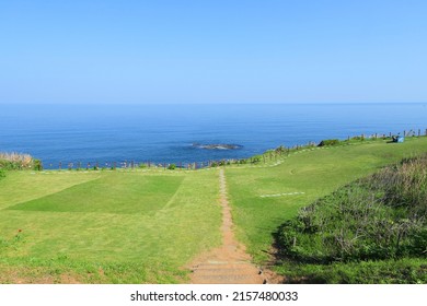Greengrass in the blue sea and sky of the cape
