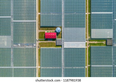 greenhouse complex panorama from the height - Powered by Shutterstock