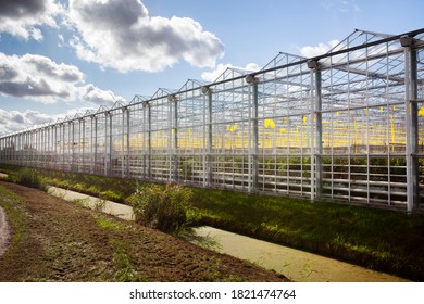 Greenhouse exterior under a sky with nice clouds in Westland in the Netherlands