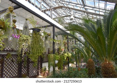 1,100 Greenhouse Full Of Tropical Plants Images, Stock Photos & Vectors ...