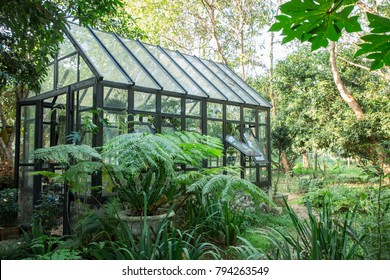 Greenhouse In The Garden