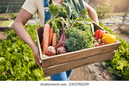 Greenhouse, hands of woman with box of vegetables and sustainable small business in agriculture. Girl working at farm, natural food and agro growth in summer with organic beetroot, carrots and pepper - Powered by Shutterstock