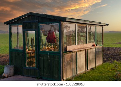 Diy Greenhouse Images Stock Photos Vectors Shutterstock