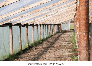 Greenhouse interior. Foil tunnel. Growing vegetables. Homemade farming room. Protective atmosphere for planting seeds and vegetable grow. Gardening background.