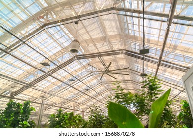 Room With Ceiling Fan Images Stock Photos Vectors Shutterstock