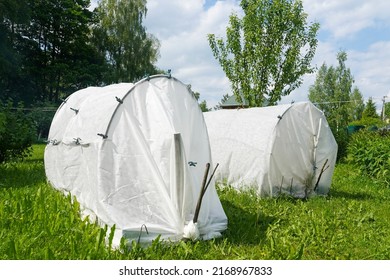 Greenhouse Made Of White Textile In A Russian Dacha Garden On Bright Summer Day