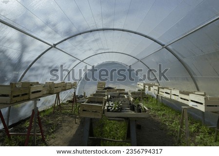 Similar – Image, Stock Photo Greenhouse Market garden