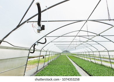 Greenhouse With Microclimate Control. Smart Agriculture