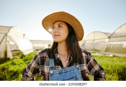 Greenhouse, Plantation And Woman Farmer Thinking In Garden Field. Farming With Carbon Capture Positive Environmental Business. Eco Friendly Company And Agriculture For Production Sustainability.