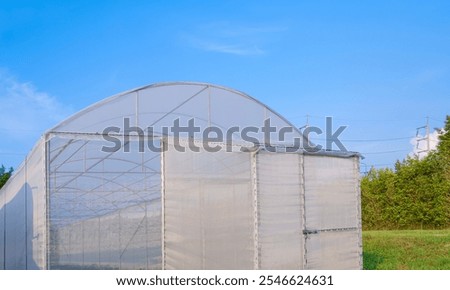 Similar – Image, Stock Photo Light net Tent of lights