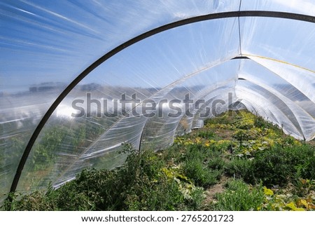 A greenhouse is a type of greenhouse system (especially a polytunnel or low-tunnel greenhouse) widely used in modern agriculture.