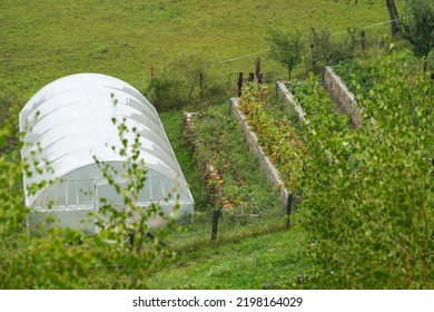 Greenhouse For Vegetable Seen From Above And A Tiered Garden At The Mountain Side. Agriculture On A Hill. Farming Industry.