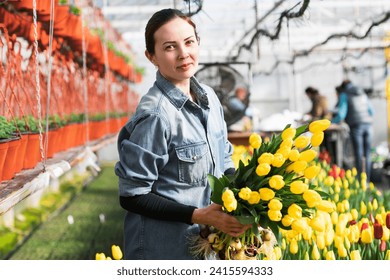 Greenhouse worker is picking tulips in a greenhouse for a bouquet.	 - Powered by Shutterstock