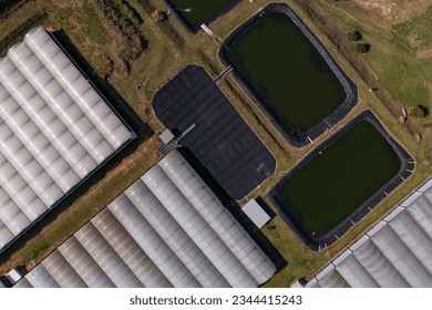 greenhouses for flowers seen from above