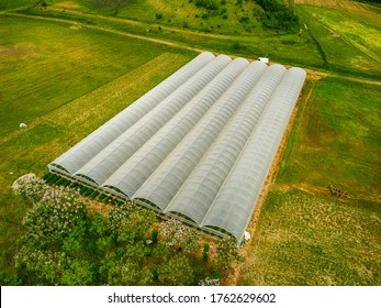 Greenhouses lined up in row, covered with transparent film of growing vegetables and fruits aerial view. Texture of the roofs of greenhouses field background. Farming, bio products. Drone - Powered by Shutterstock