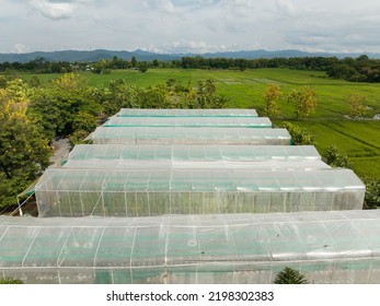 Greenhouses Lined Up In Small Farm For Vegetables And Fruits ,aerial View.