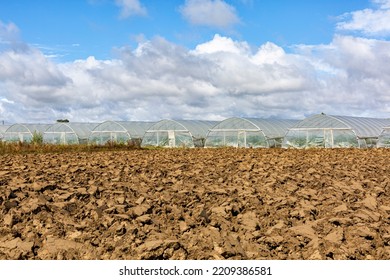 Greenhouses Tunnel Covered With Transparent Polythene Plastic Film, Growing Green Vegetable Plants. Agricultural Field, Prepared Soil For Winter Time. Blue Sky.