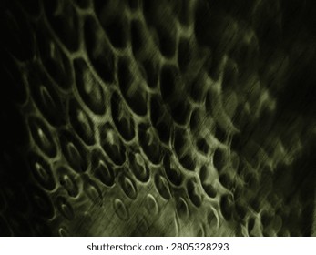 greenish background with a pattern similar to snake scales, chiaroscuro