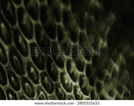 greenish background with a pattern similar to snake scales, chiaroscuro