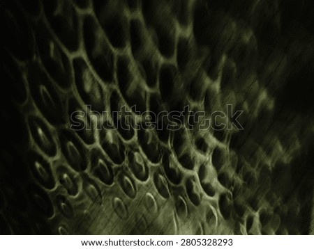 greenish background with a pattern similar to snake scales, chiaroscuro