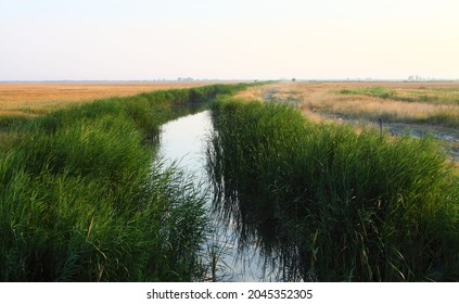 Greenish Canal In The Kiskunság National Park, Hungary