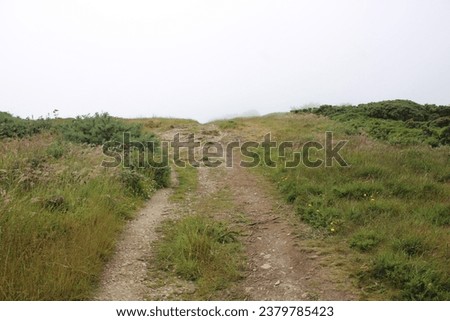 the greenish path towards Howth Lighthouse