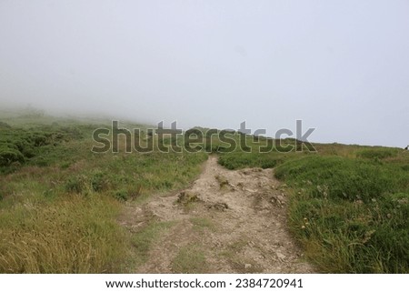 The greenish walking path towards Howth Lighthouse