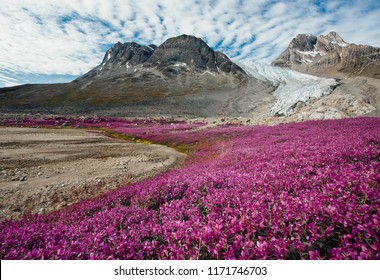 グリーンランド」の画像、写真素材、ベクター画像  Shutterstock