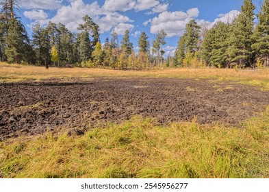 Greenland Lake at Grand Canyon North Rim Arizona, now reduced to a mud hole. This lake is actually a sinkhole that periodically dries out and refills from winter snow. - Powered by Shutterstock