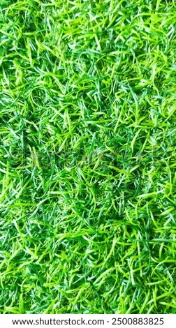 the greenlight of grass root