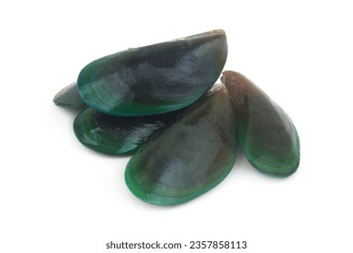 Green-lipped mussels isolated on white.