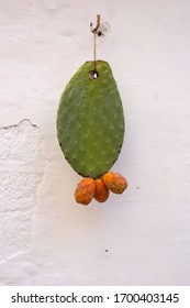 A green-orange cactus detail hung on a white wall in southern Italy
