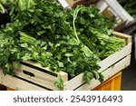 greens, parsley, dill, greens in a box, fresh parsley, at the market, greens on a store shelf, vitamins, seasoning, cook, kitchen, restaurant, food, healthy eating, health, food, dish, market